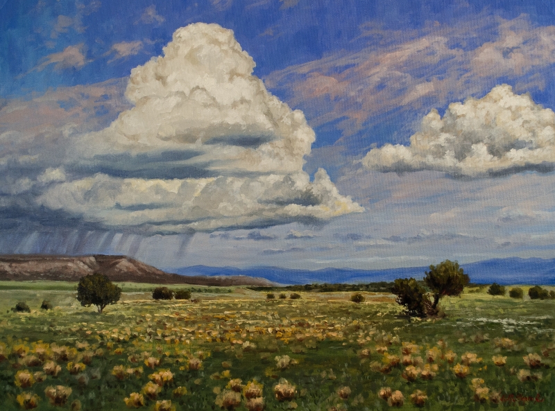 Arizona Rainstorm by artist Jose Blanco